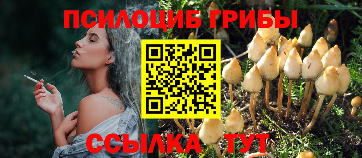 как найти   Вход с VPN  Верхняя Салда  Галлюциногенные грибы MAGIC MUSHROOMS 