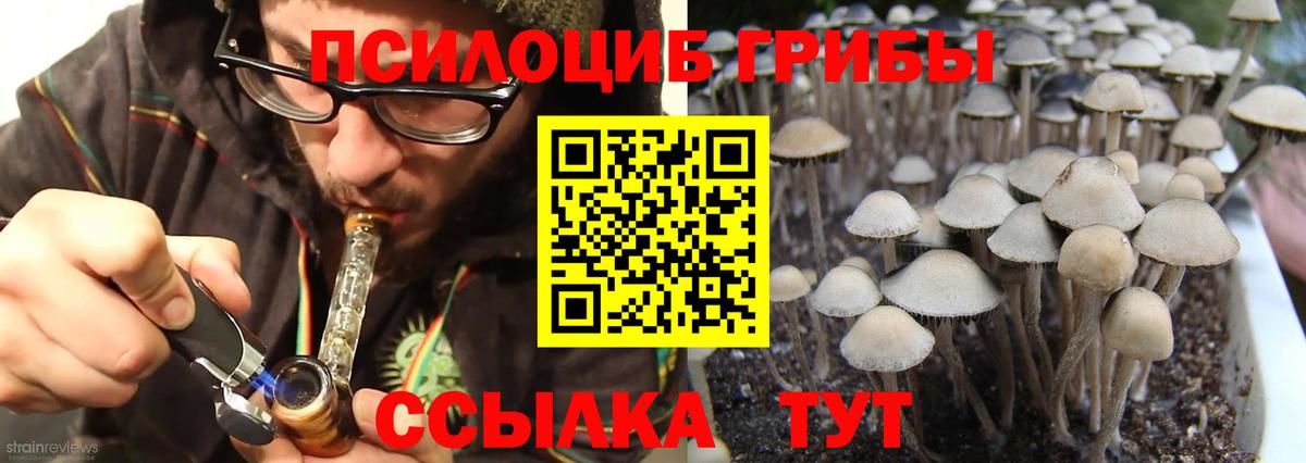 Галлюциногенные грибы Psilocybine cubensis Верхняя Салда